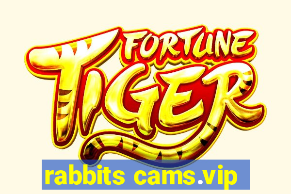 rabbits cams.vip